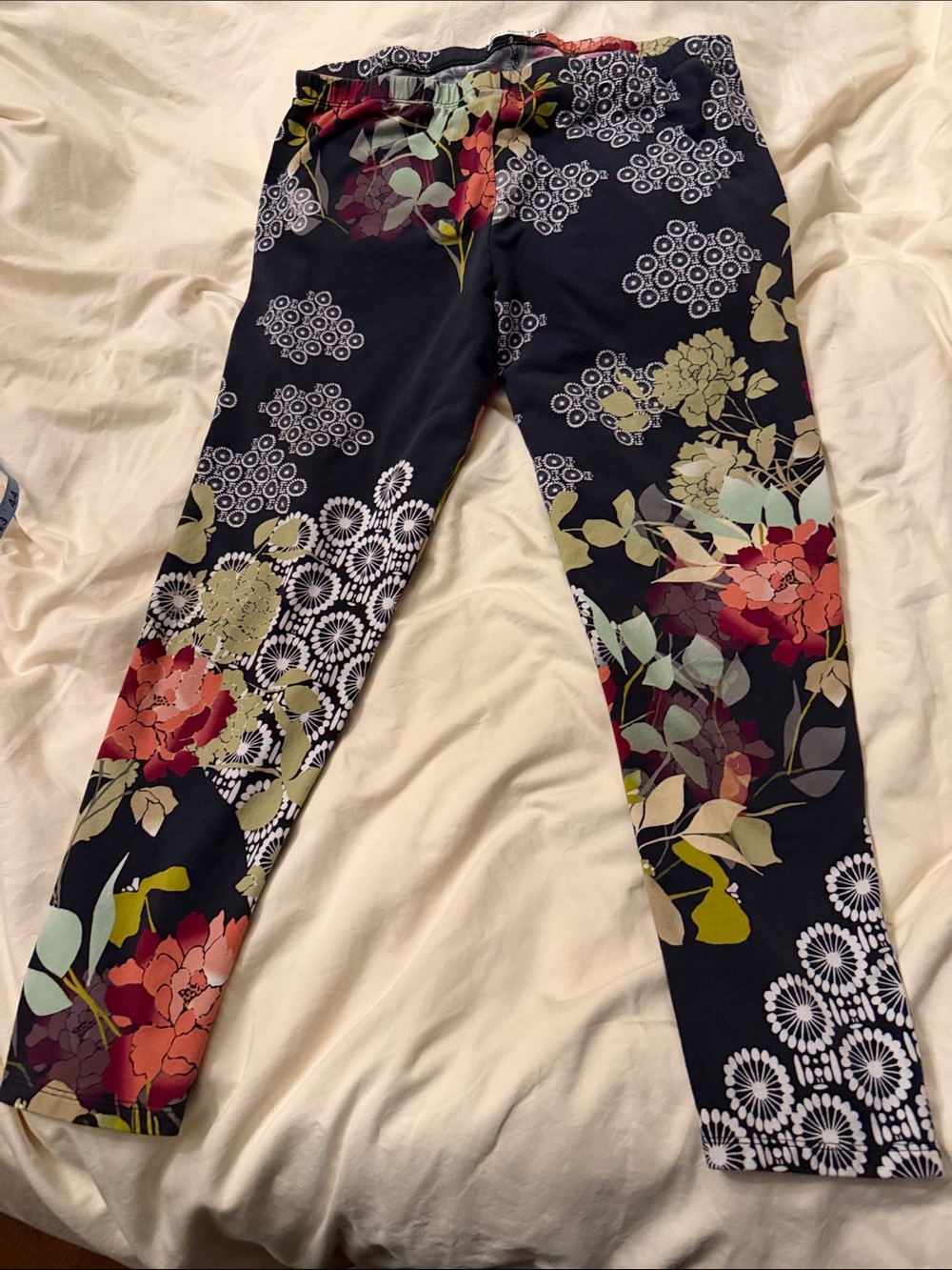 Johnny Was Sierra Floral Black Leggings with Multicolor Print